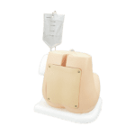 M43B Lumbar Puncture Simulator ⅡA Dark Tone