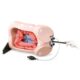 M40 Colonoscope Training Model
