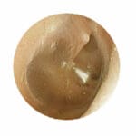 MW12 EAR Examination Simulator II