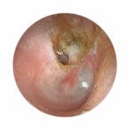 MW12 EAR Examination Simulator II