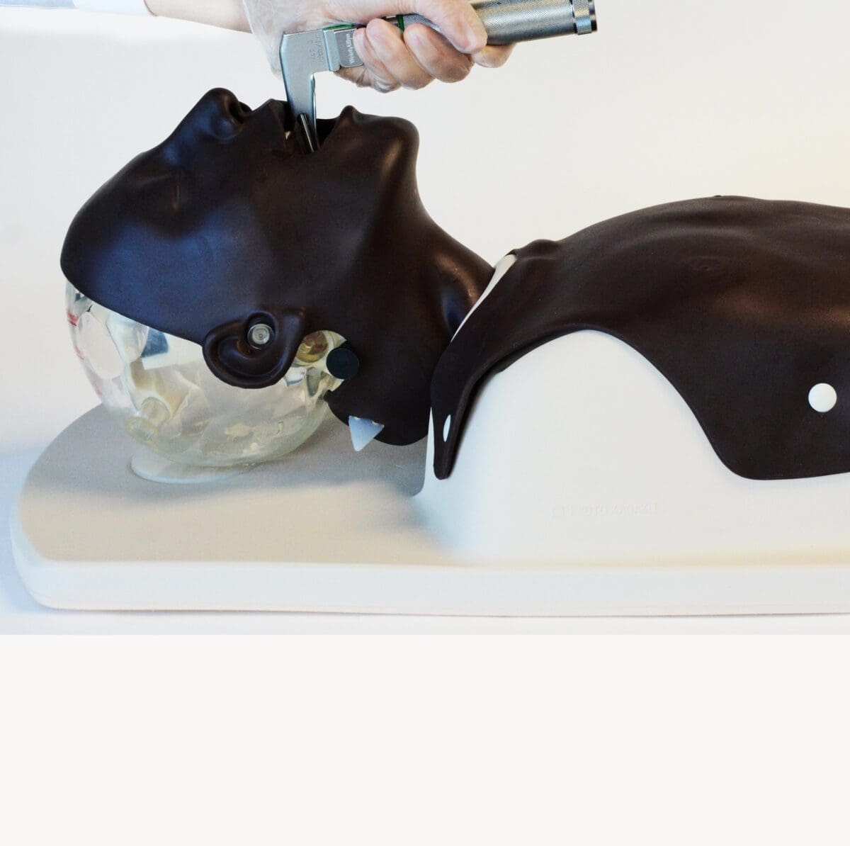 MW13 Difficult Airway Management Simulator Training Model
