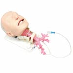 MW19 Difficult Airway Management Simulator For Bronchofiberscopy
