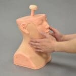 MW30 Head and Neck Palpation Trainer