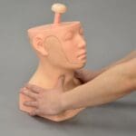 MW30 Head and Neck Palpation Trainer