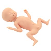 OB/GYN