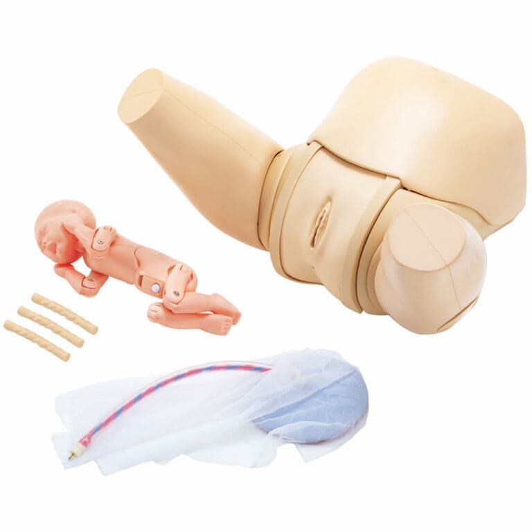 MW36 Vaginal Delivery Assistance Simulator