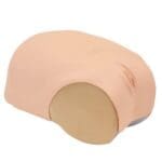 MW38 Uterine Involution Assessment Simulator