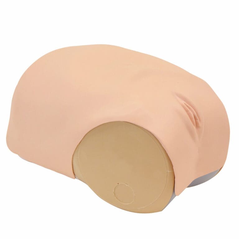 MW38 Uterine Involution Assessment Simulator