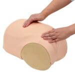 MW38 Uterine Involution Assessment Simulator