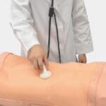 MW43 Abdominal Examination Simulator (with Auscultation)