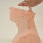 MW62 Thyroid Palpation Simulator