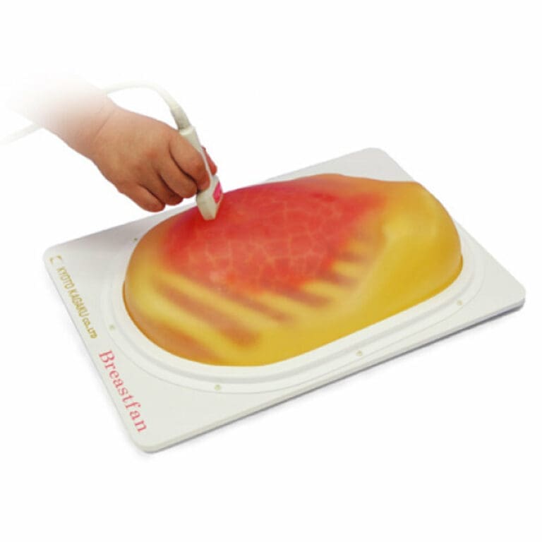 Breast Ultrasound Examination Phantom BREAST FAN US-6