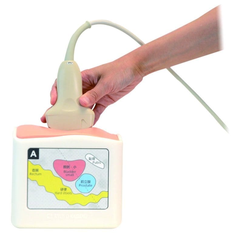 Rectal and Bladder Ultrasound Phantom US23