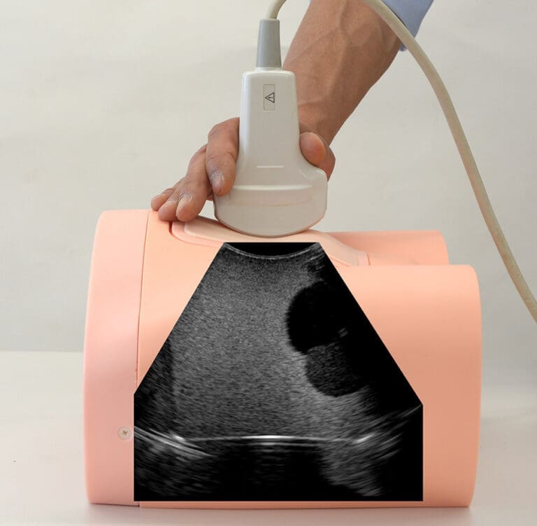 Intravesical Urine Volume Measurement Phantom US-16
