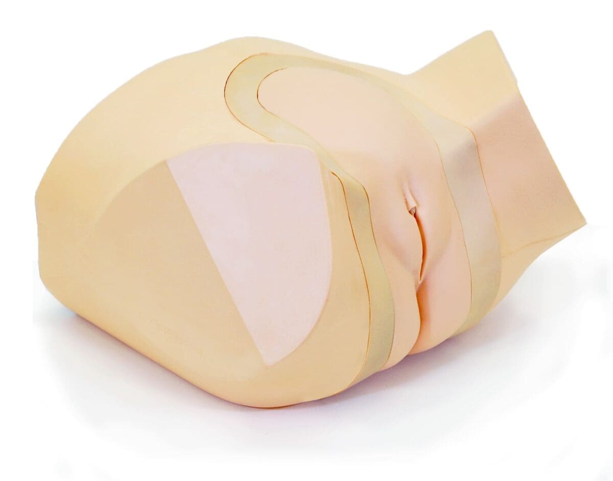 Female Pelvic Ultrasound Phantom (Transvaginal and Transabdominal) Gynecology US-10