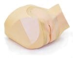 Female Pelvic Ultrasound Phantom (Transvaginal and Transabdominal) Gynecology US-10