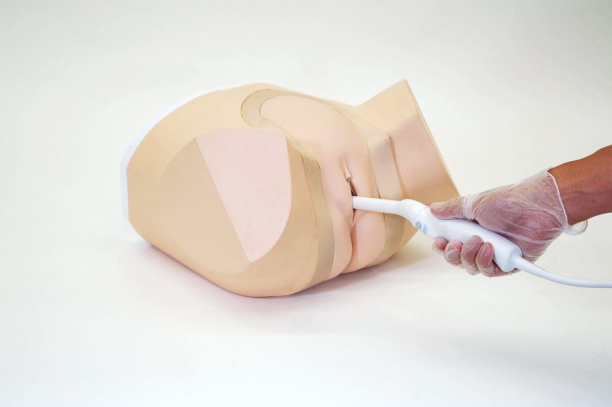 Female Pelvic Ultrasound Phantom (Transvaginal and Transabdominal) Gynecology US-10