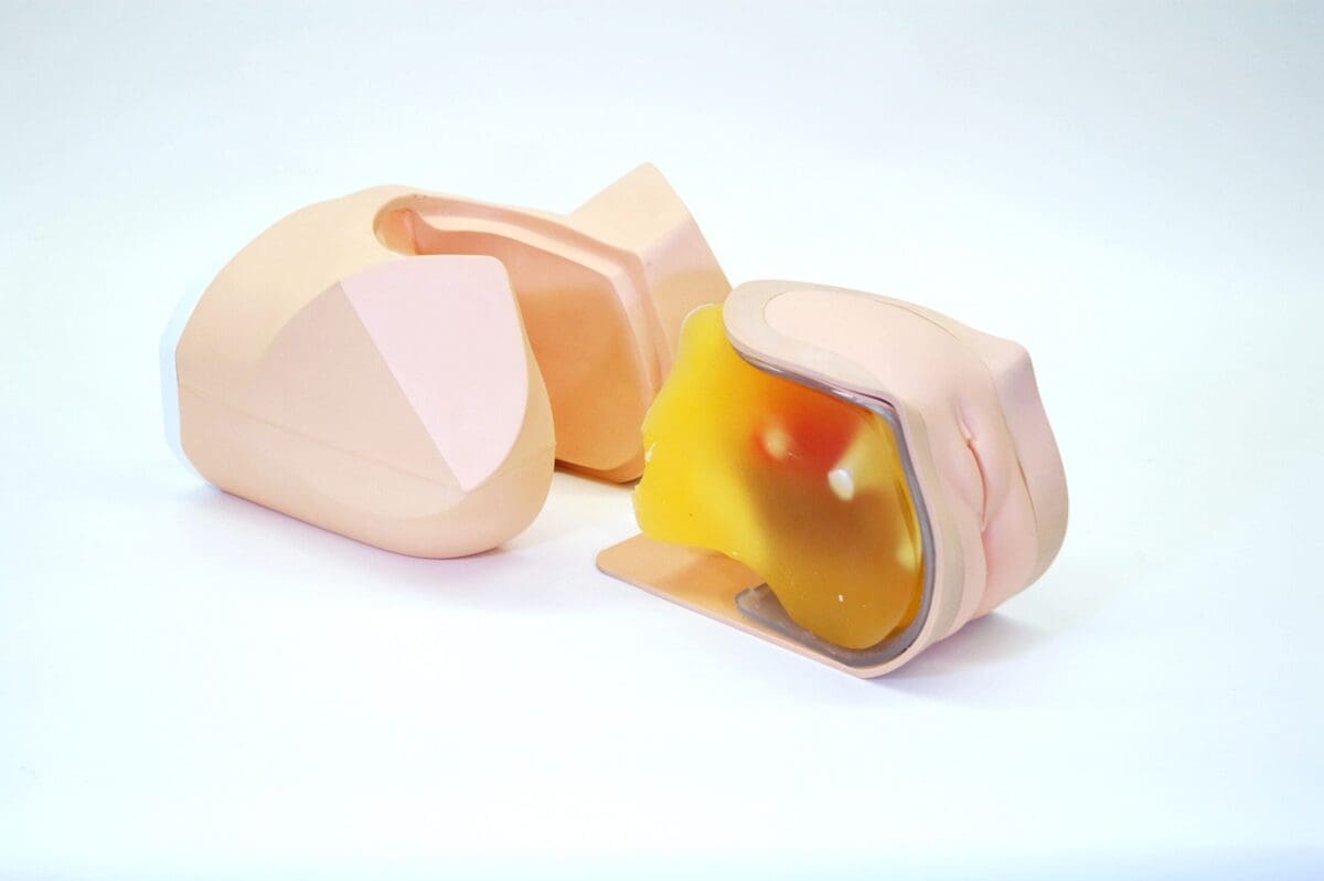 Female Pelvic Ultrasound Phantom (Transvaginal and Transabdominal) Gynecology US-10