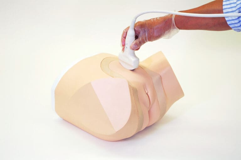 Female Pelvic Ultrasound Phantom (Transvaginal and Transabdominal) Gynecology US-10