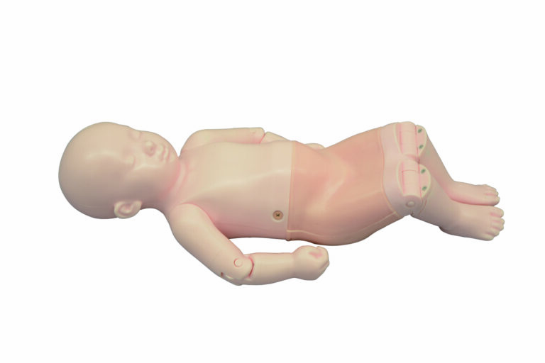 Infant Hip Sonography Training Phantom US-13