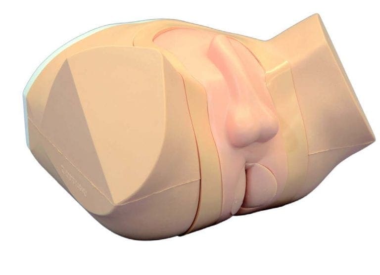 MW20 Prostate And Rectal Simulator